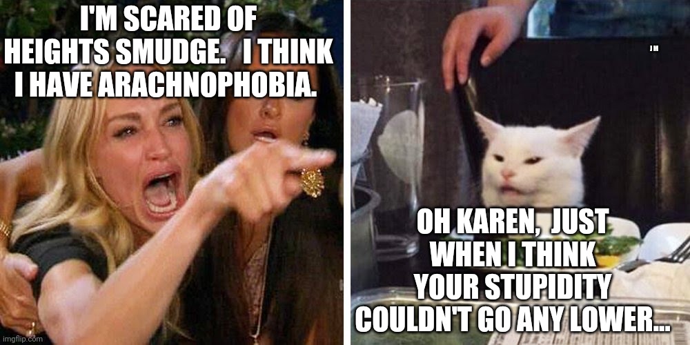 Smudge the cat | I'M SCARED OF HEIGHTS SMUDGE.   I THINK I HAVE ARACHNOPHOBIA. J M; OH KAREN,  JUST WHEN I THINK YOUR STUPIDITY COULDN'T GO ANY LOWER... | image tagged in smudge the cat | made w/ Imgflip meme maker