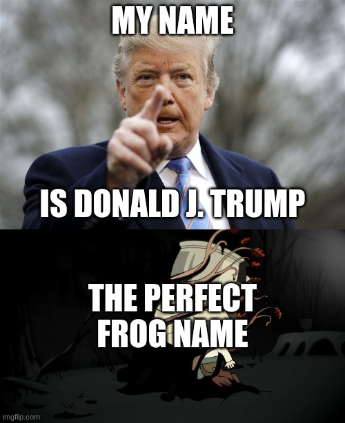 MY NAME; IS DONALD J. TRUMP; THE PERFECT FROG NAME | image tagged in funny | made w/ Imgflip meme maker