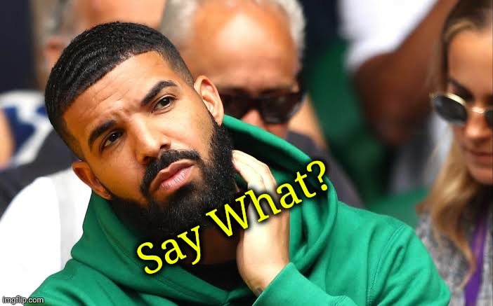 Drake seems okay | Say What? | image tagged in drake seems okay | made w/ Imgflip meme maker