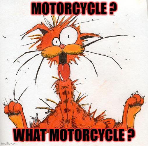 MOTORCYCLE ? WHAT MOTORCYCLE ? | image tagged in motorcycle | made w/ Imgflip meme maker