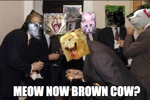 Laughing Men In Suits Meme | MEOW NOW BROWN COW? | image tagged in best friends,life,secretly,2020,party,cats | made w/ Imgflip meme maker