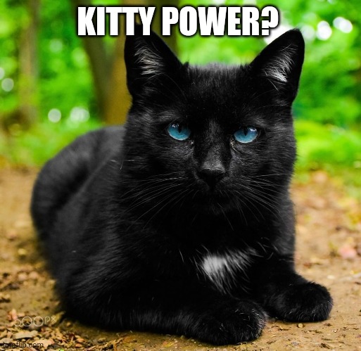 KITTY POWER? | made w/ Imgflip meme maker