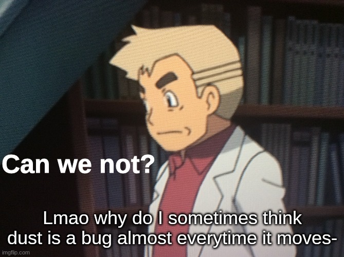Can we not? | Lmao why do I sometimes think dust is a bug almost everytime it moves- | image tagged in can we not,lol i'm a dumbass | made w/ Imgflip meme maker