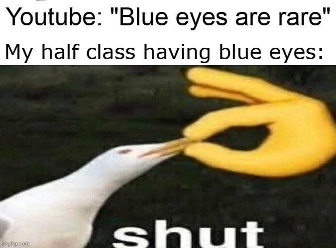 My half class having blue eyes:; Youtube: "Blue eyes are rare" | image tagged in youtube | made w/ Imgflip meme maker