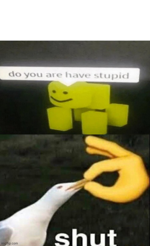 funny | image tagged in do you are have stupid,shut | made w/ Imgflip meme maker