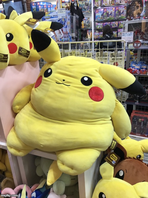 Fat Pikachu  | image tagged in fat pikachu | made w/ Imgflip meme maker