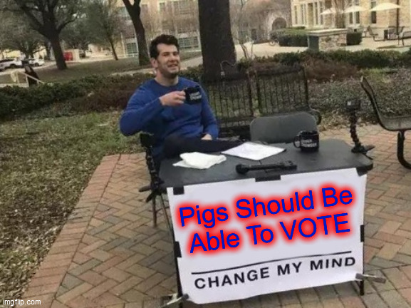 Swine. VOTE. NOW. | Pigs Should Be
Able To VOTE | image tagged in change my mind,pig suffrage,swine in 2022,pork 2024,swine are fine,delicious politicious | made w/ Imgflip meme maker