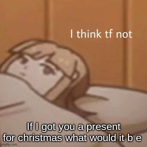 Cause I'm probably gonna give ya'll presents lmao | If I got you a present for christmas what would it b e | image tagged in i think tf not | made w/ Imgflip meme maker