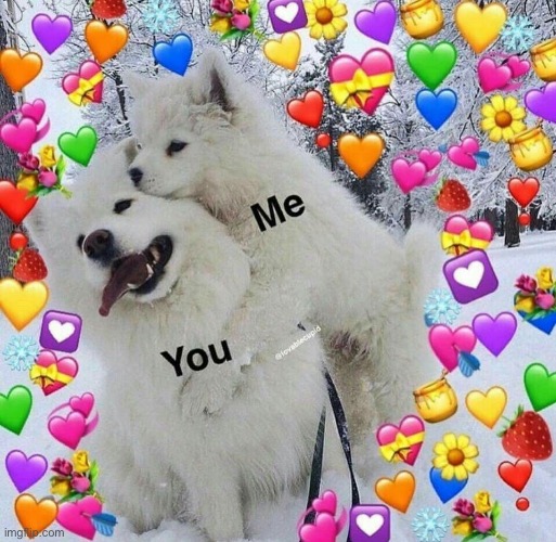 I remember posting this and blueberry saying that I’m the dog hugging the other one | made w/ Imgflip meme maker