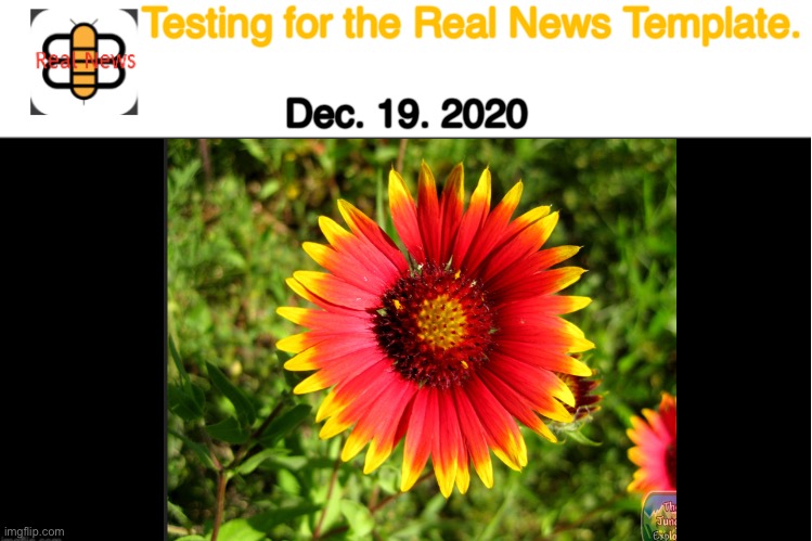 Link below | Testing for the Real News Template. Dec. 19. 2020 | image tagged in babylon bee,test,babylon bee real news | made w/ Imgflip meme maker