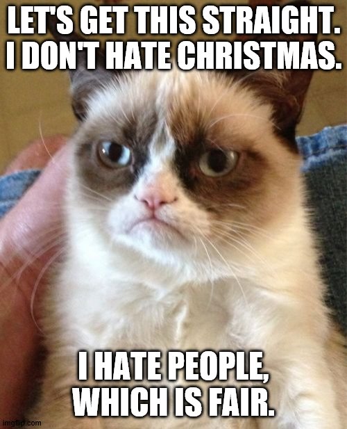 I don't hate christmas | LET'S GET THIS STRAIGHT. I DON'T HATE CHRISTMAS. I HATE PEOPLE, WHICH IS FAIR. | image tagged in memes,grumpy cat | made w/ Imgflip meme maker