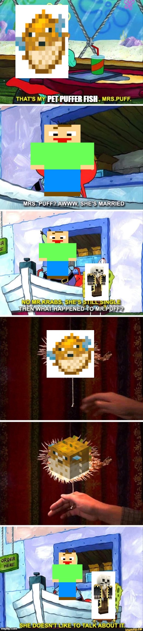 what happend to mr.puff? | PET PUFFER FISH | image tagged in what happend to mr puff | made w/ Imgflip meme maker