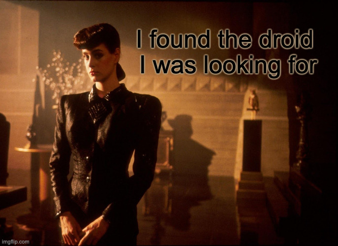 Rachel Droid | I found the droid 
I was looking for | image tagged in rachel,blade runner,replicant,star wars,mashup | made w/ Imgflip meme maker