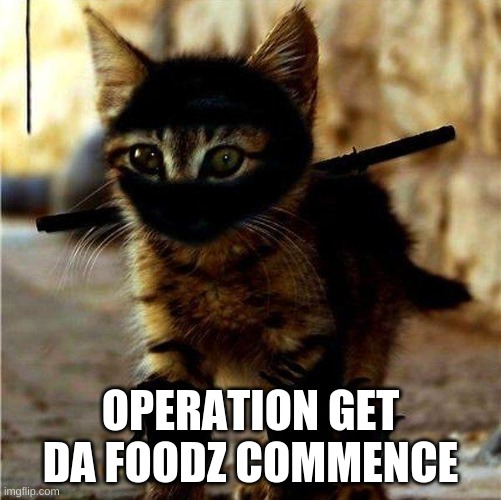 May Take A While, With All The Naps | OPERATION GET DA FOODZ COMMENCE | image tagged in ninja cat | made w/ Imgflip meme maker