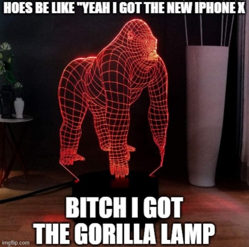bitch i got the gorilla lamp | image tagged in gorilla | made w/ Imgflip meme maker