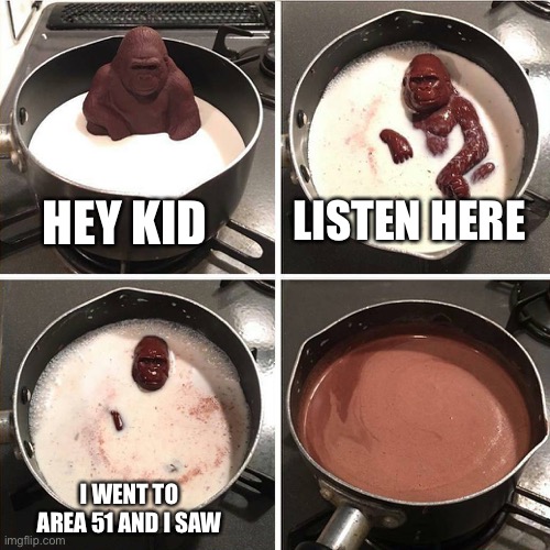 Damn it so close | LISTEN HERE; HEY KID; I WENT TO AREA 51 AND I SAW | image tagged in chocolate gorilla | made w/ Imgflip meme maker