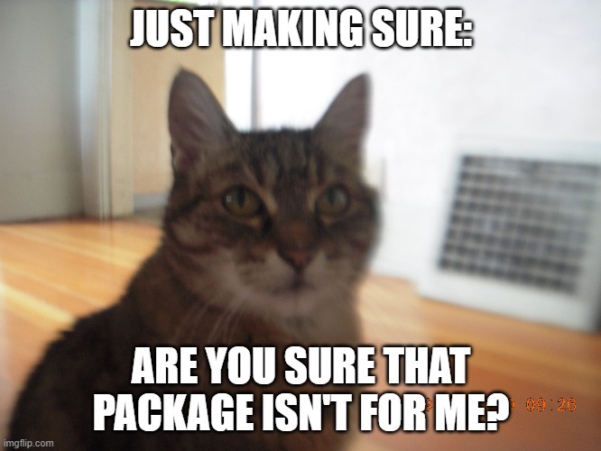 "Just making sure:" | JUST MAKING SURE:; ARE YOU SURE THAT PACKAGE ISN'T FOR ME? | image tagged in cats,old cats,tabby cats,old tabby cats | made w/ Imgflip meme maker