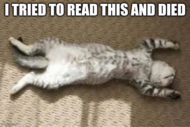 Play Dead Cat | I TRIED TO READ THIS AND DIED | image tagged in play dead cat | made w/ Imgflip meme maker