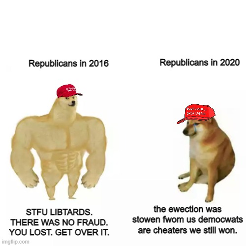 shoes on the other foot now. | Republicans in 2020; Republicans in 2016; STFU LIBTARDS. THERE WAS NO FRAUD. YOU LOST. GET OVER IT. the ewection was stowen fwom us democwats are cheaters we still won. | image tagged in memes,funny,strong dog vs weak dog,politics,republicans,2020 elections | made w/ Imgflip meme maker