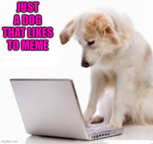 JUST A DOG THAT LIKES TO MEME | made w/ Imgflip meme maker