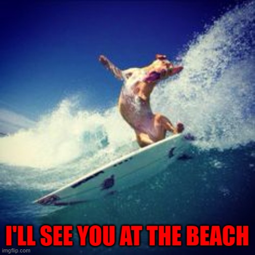 I'LL SEE YOU AT THE BEACH | made w/ Imgflip meme maker