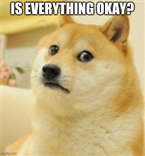 Sad Doge | IS EVERYTHING OKAY? | image tagged in sad doge | made w/ Imgflip meme maker