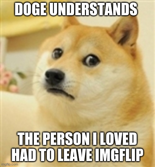 Sad Doge | DOGE UNDERSTANDS THE PERSON I LOVED HAD TO LEAVE IMGFLIP | image tagged in sad doge | made w/ Imgflip meme maker