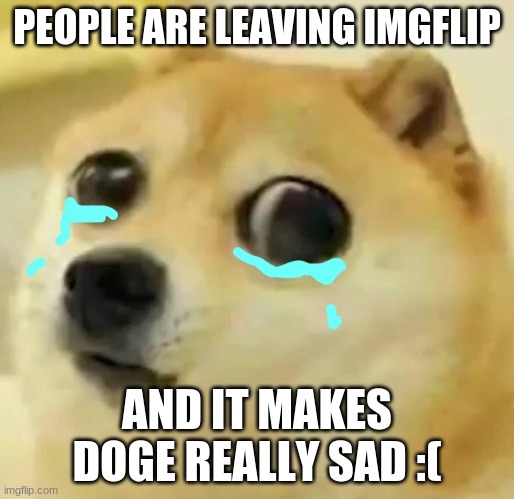 dont....pls | PEOPLE ARE LEAVING IMGFLIP; AND IT MAKES DOGE REALLY SAD :( | image tagged in big eyes crying doge | made w/ Imgflip meme maker