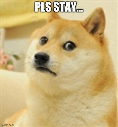 Sad Doge | PLS STAY... | image tagged in sad doge | made w/ Imgflip meme maker