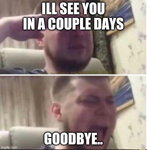 Crying salute | ILL SEE YOU IN A COUPLE DAYS GOODBYE.. | image tagged in crying salute | made w/ Imgflip meme maker