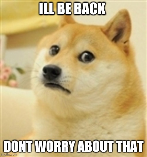 (im too sad to create a funny title) | ILL BE BACK; DONT WORRY ABOUT THAT | image tagged in sad doge | made w/ Imgflip meme maker
