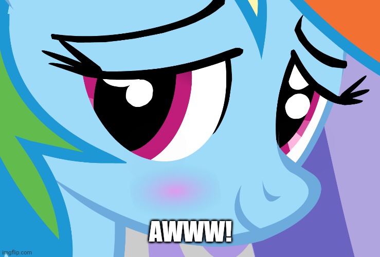 Blushed Rainbow Dash (MLP) | AWWW! | image tagged in blushed rainbow dash mlp | made w/ Imgflip meme maker