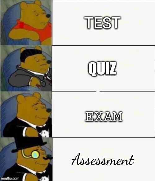 What do you call tests | TEST; QUIZ; EXAM; Assessment | image tagged in tuxedo winnie the pooh 4 panel,test,quiz,exam | made w/ Imgflip meme maker