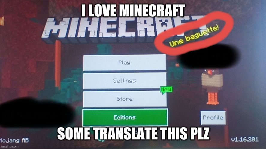 BEAUTIFUL | I LOVE MINECRAFT; SOME TRANSLATE THIS PLZ | image tagged in minecraft,hamilton,la baguette | made w/ Imgflip meme maker