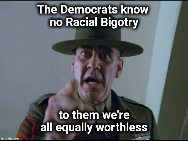 Yes , that means you , too | The Democrats know 
no Racial Bigotry; to them we're all equally worthless | image tagged in sargent hartman,see nobody cares,obamacare,well yes but actually no,pay your taxes | made w/ Imgflip meme maker