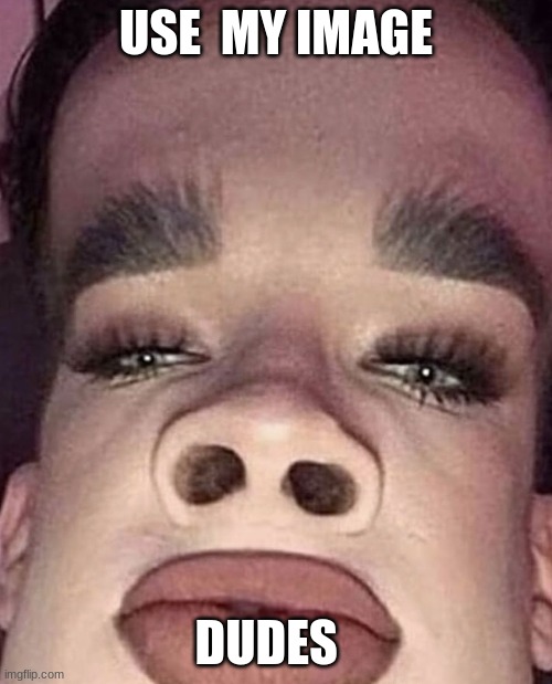 James Charles | USE  MY IMAGE; DUDES | image tagged in james charles | made w/ Imgflip meme maker