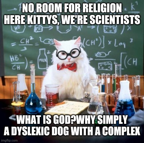 Chemistry Cat Meme |  NO ROOM FOR RELIGION HERE KITTYS, WE'RE SCIENTISTS; WHAT IS GOD?WHY SIMPLY A DYSLEXIC DOG WITH A COMPLEX | image tagged in memes,chemistry cat | made w/ Imgflip meme maker