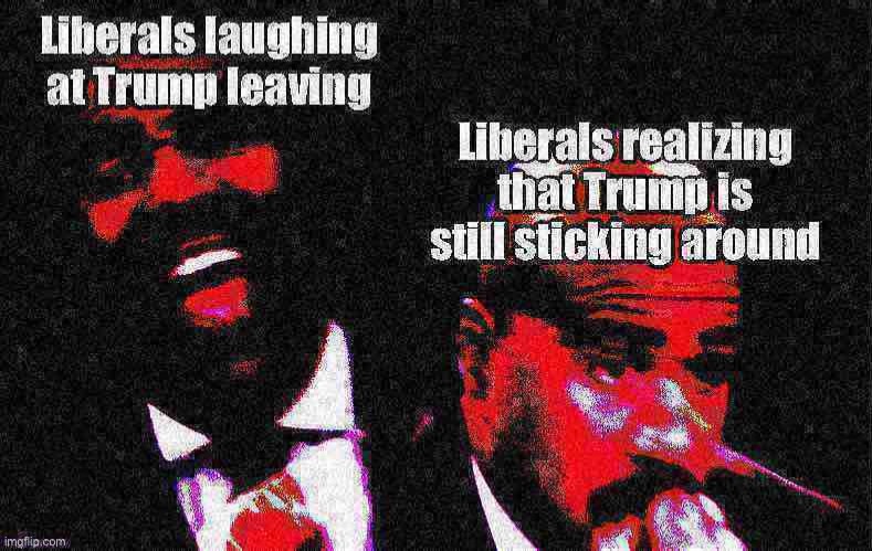 Trump may have lost but u can still own the libz with this meme | image tagged in election 2020,politics lol,trump,donald trump,liberals,steve harvey laughing serious | made w/ Imgflip meme maker