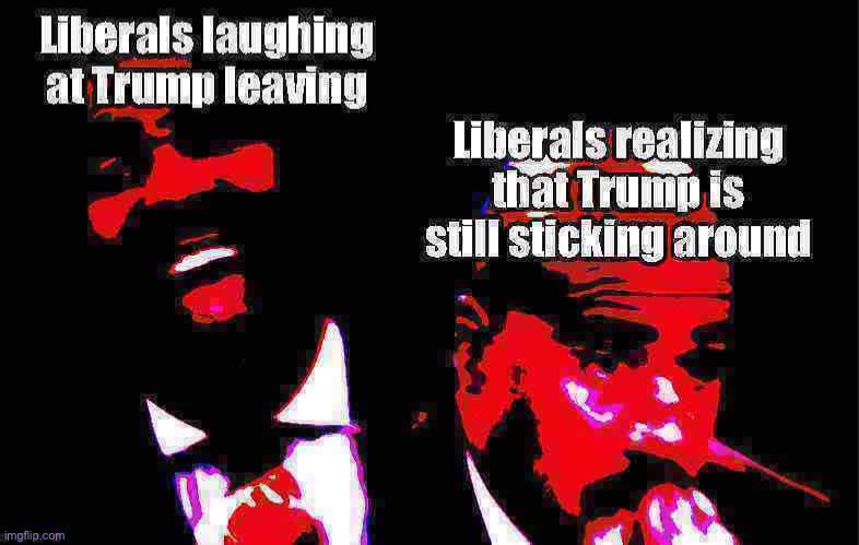 If you’re looking for new ways to own the libz try this one | image tagged in election 2020,liberals,steve harvey,steve harvey laughing serious,trump,donald trump | made w/ Imgflip meme maker