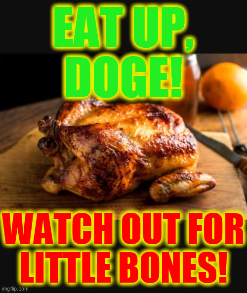 Roast chicken 2 | EAT UP,
DOGE! WATCH OUT FOR
LITTLE BONES! | image tagged in roast chicken 2 | made w/ Imgflip meme maker