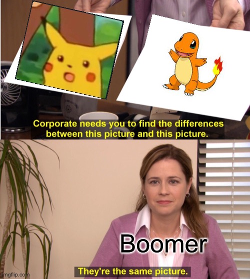 They're The Same Picture Meme | Boomer | image tagged in memes,they're the same picture | made w/ Imgflip meme maker