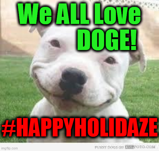 Happy Friday Puppy | We ALL Love
            DOGE! #HAPPYHOLIDAZE | image tagged in happy friday puppy | made w/ Imgflip meme maker