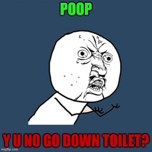 Poop won't go down lol | POOP; Y U NO GO DOWN TOILET? | image tagged in memes,y u no | made w/ Imgflip meme maker