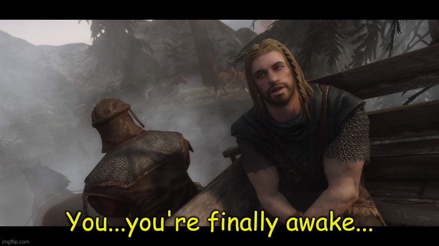 image tagged in skyrim you you're finally awake | made w/ Imgflip meme maker