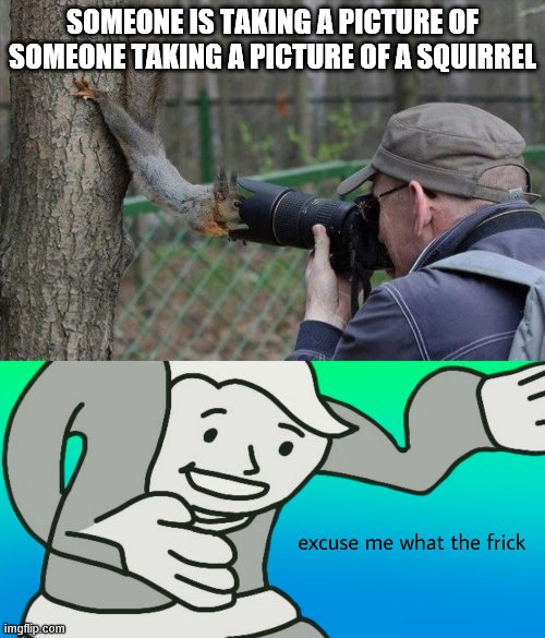 who is watching the photographers?? | SOMEONE IS TAKING A PICTURE OF SOMEONE TAKING A PICTURE OF A SQUIRREL | image tagged in memes,jehovas witness squirrel | made w/ Imgflip meme maker