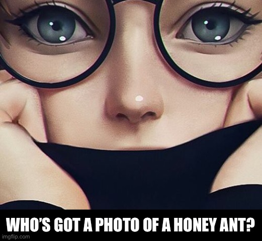 WHO’S GOT A PHOTO OF A HONEY ANT? | made w/ Imgflip meme maker