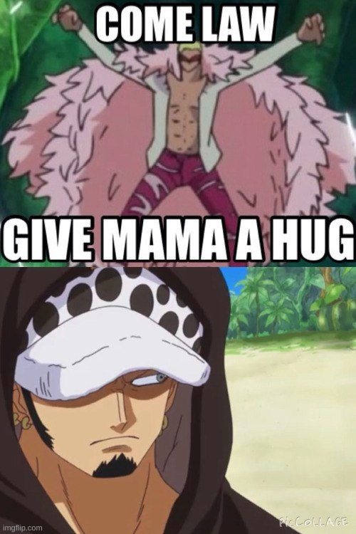 This is what donflamingo acts like with Law | made w/ Imgflip meme maker