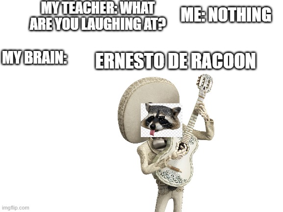 Blank White Template | MY TEACHER: WHAT ARE YOU LAUGHING AT? ME: NOTHING; MY BRAIN:; ERNESTO DE RACOON | image tagged in blank white template,memes | made w/ Imgflip meme maker