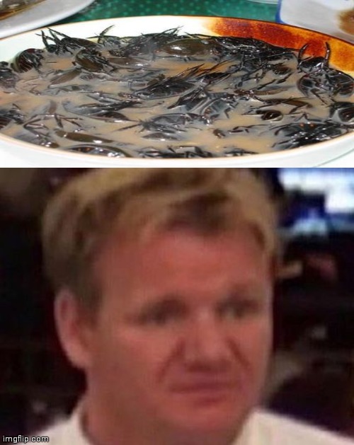 Gordon Ramsey wtf | image tagged in gordon ramsey wtf | made w/ Imgflip meme maker