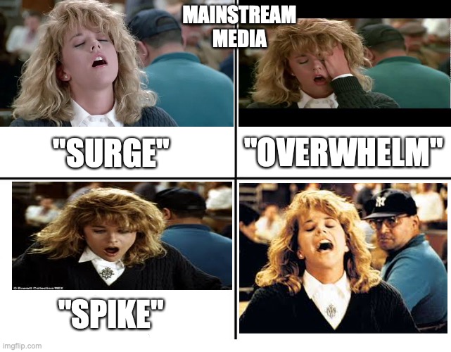 Mainstream media 2020 | MAINSTREAM MEDIA; "OVERWHELM"; "SURGE"; "SPIKE" | image tagged in 4 panel comic template | made w/ Imgflip meme maker